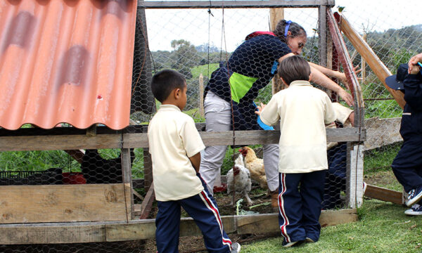 Granja
